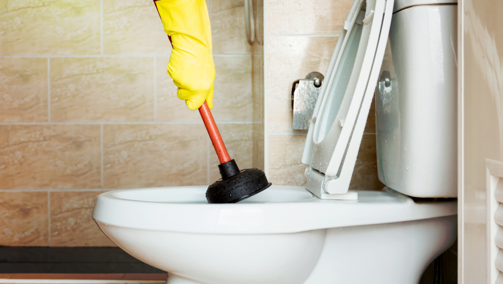 solution miracle pour déboucher les wc